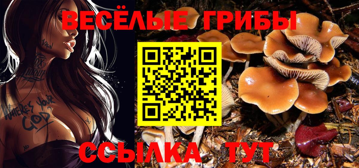 Псилоцибиновые грибы ЛСД  Вход с VPN  Добрянка  Псилоцибиновые грибы MAGIC MUSHROOMS 
